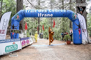 Trail des cèdres 2024